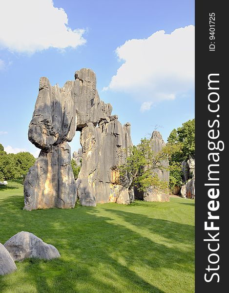 Stone forest