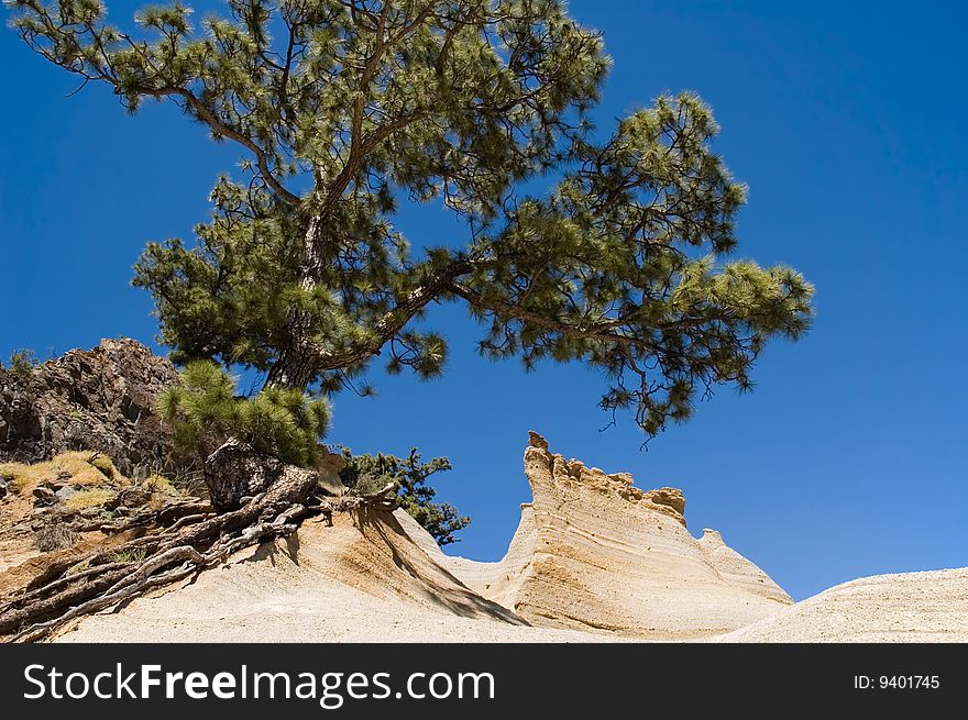 A sandstone peak with trees against a blue sky
