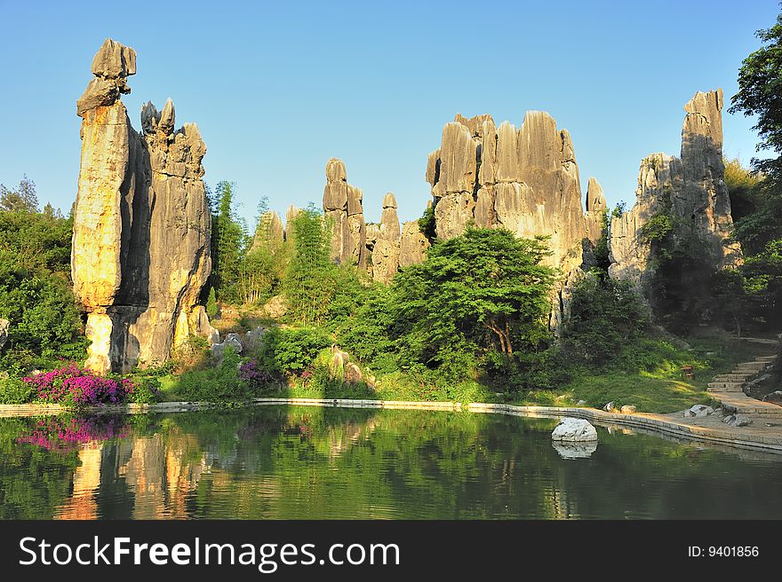 Stone Forest