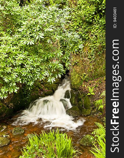 Waterfall with trees and grass on top of a rock