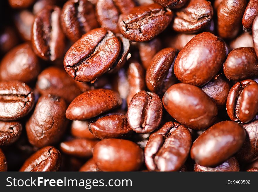 An image of coffee beans. An image of coffee beans