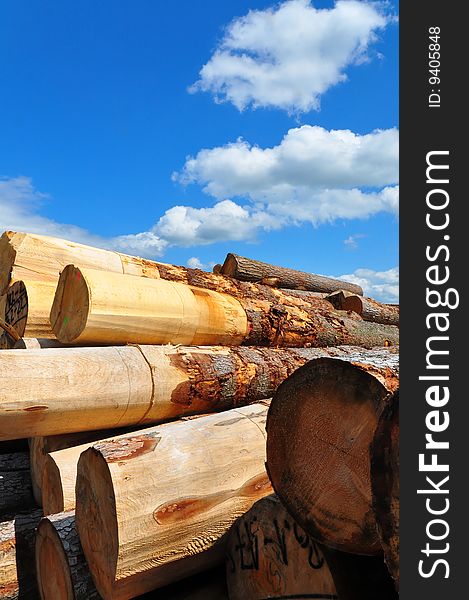 A shot of huge trunks at a german sawmill