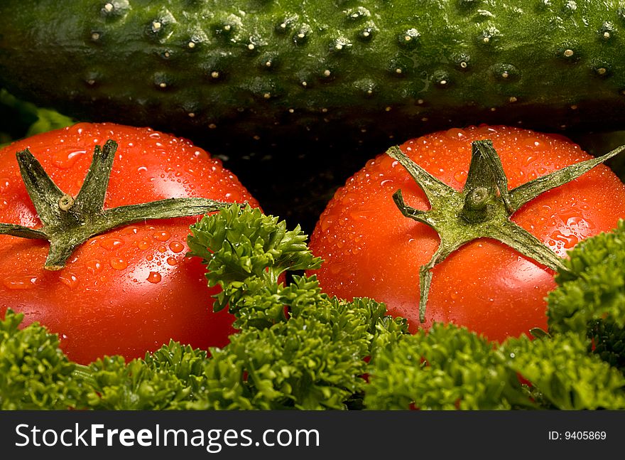 Two red tomatoes and a cucumber on green verdure