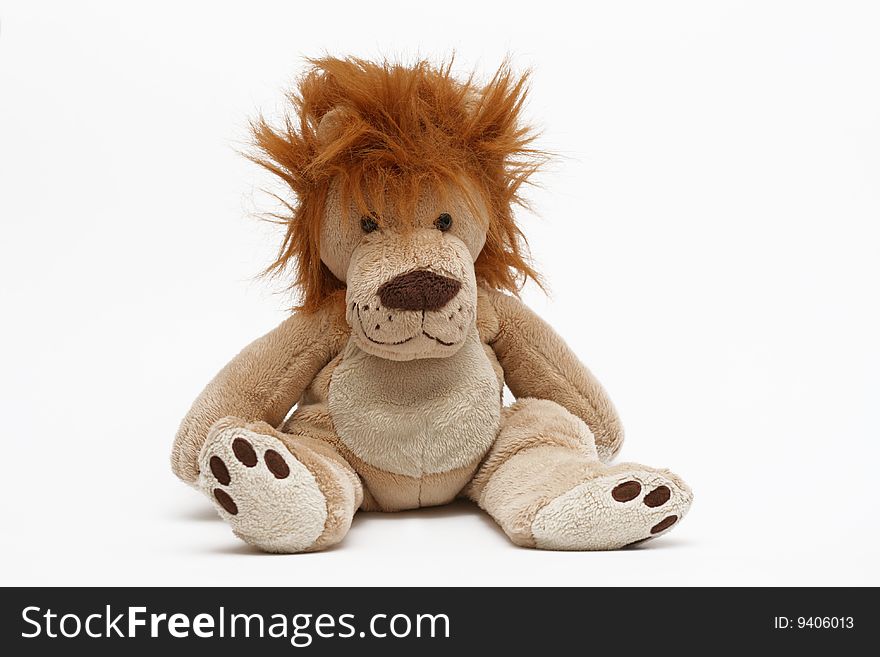 Teddy tiger on a white background