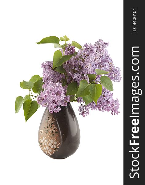 Lilac flowers with leaves in brown ceramic vase isolated on white. Lilac flowers with leaves in brown ceramic vase isolated on white