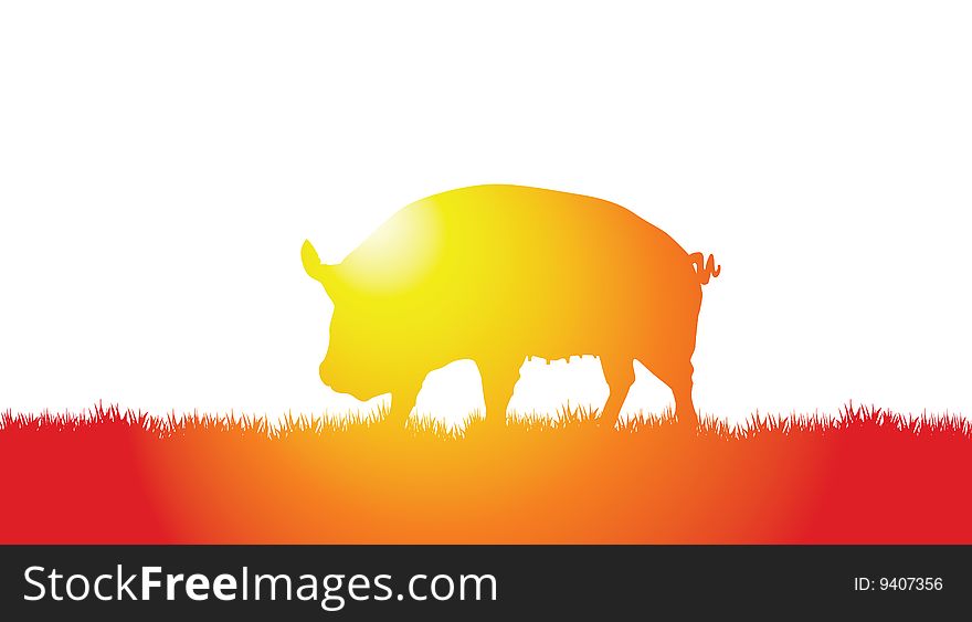 Pig On A Meadow