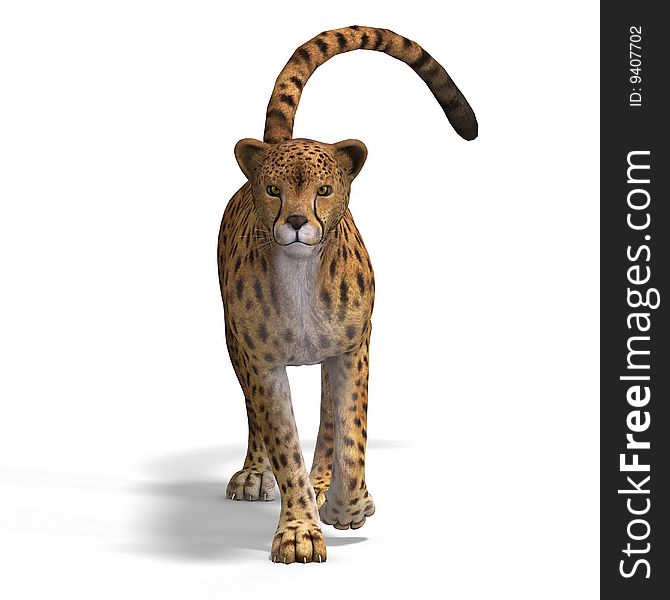 Dangerous Big Cat Cheetaah With Clipping Path Over White