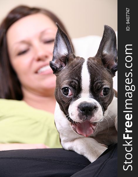 Woman With Boston Terrier