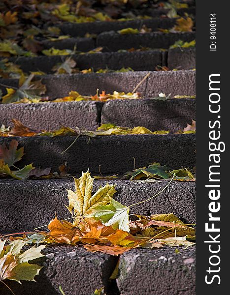 Dead leafes on stone stairpath