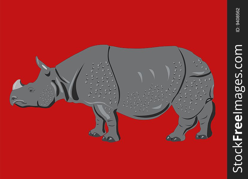 Rhinoceros