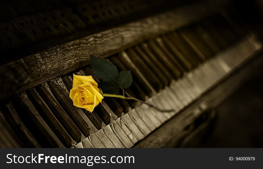 Piano, Yellow, Keyboard, Darkness