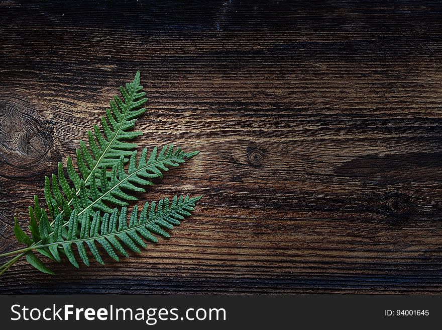 Green, Leaf, Wood, Texture