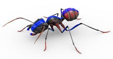 Painted Ant Looking Pretty Stock Photo Painted Ant Looking Pretty Stock Photo