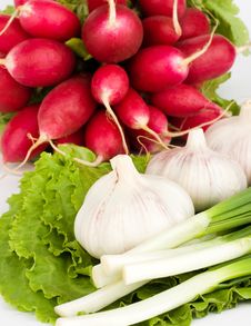 Spring Onions, Garlic, Lettuce And Radish Stock Photography Spring Onions, Garlic, Lettuce And Radish Stock Photography