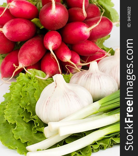 Spring onions, garlic, lettuce and radish bunch on the white background