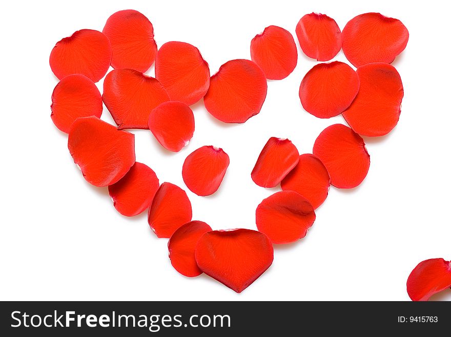 Red rose petals isolated on white background.