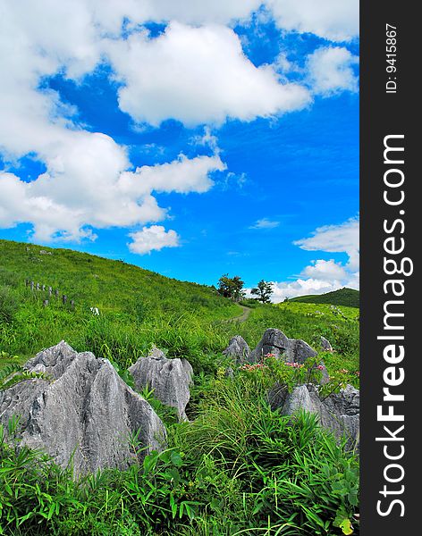 Close up view of huge limestones in a karst plateau during summer