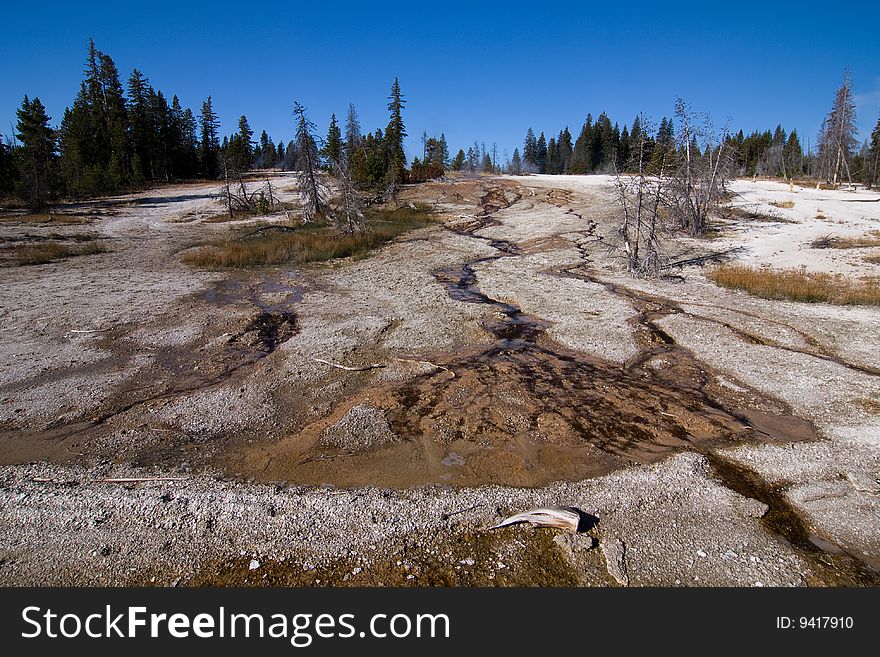 Hot springs in Yellowstone National Park. Hot springs in Yellowstone National Park