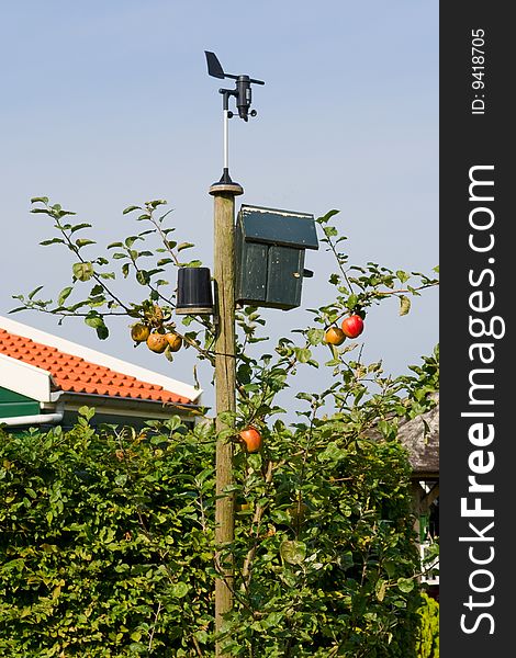 A wooden pole in the garden, which hangs in the house for the birds and the wind vane. A wooden pole in the garden, which hangs in the house for the birds and the wind vane