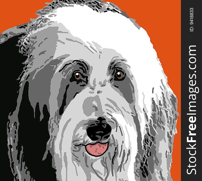 A portrait of an adult sheepdog on an orange background. A portrait of an adult sheepdog on an orange background.