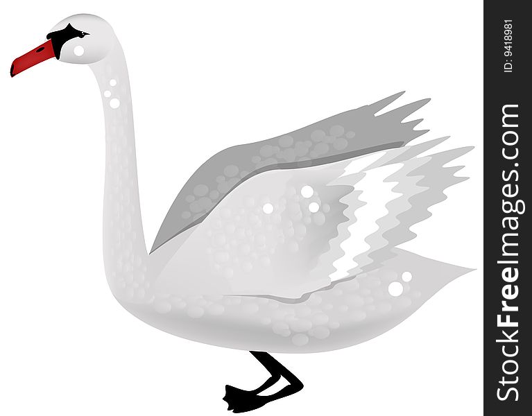 Illustration of White Swan Bird