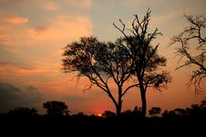 African Sunset, Sabi Sand Reserve Royalty Free Stock Photo African Sunset, Sabi Sand Reserve Royalty Free Stock Photo