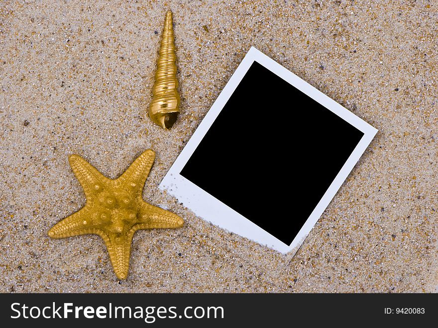 Photo frame with golden sea shells