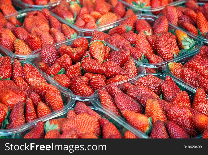 Strawberries arranged in plastic boxes
shallow DOF