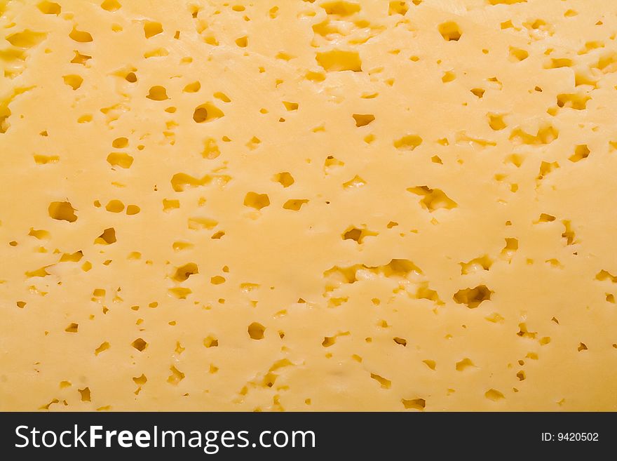 Cheese surface as a background. Cheese surface as a background
