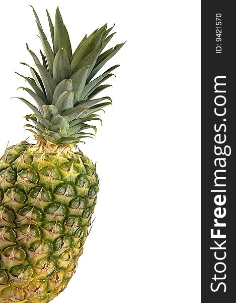 Pineapple isolated over white with space for text. Pineapple isolated over white with space for text.