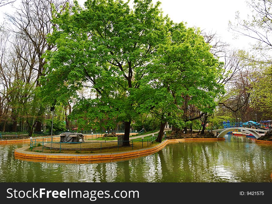 Lake in the park and big green tree