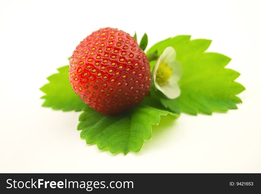 Strawberry with leaves and flower