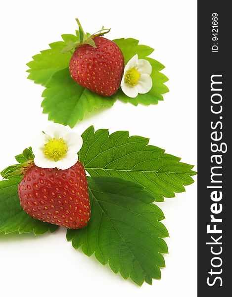 Strawberry with leaves and flower