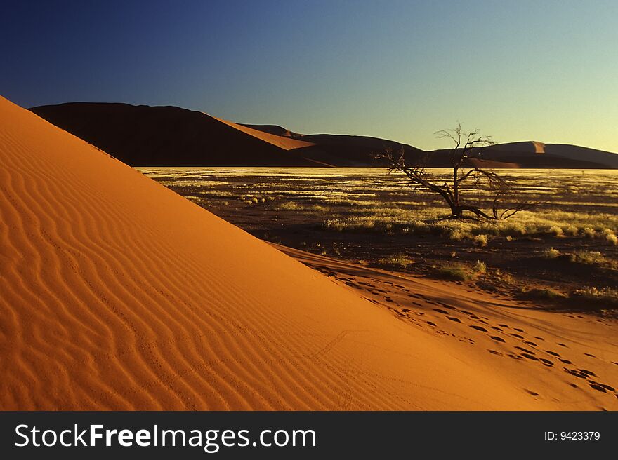 The shades of the sunset and the orange sand of Sossusvlei. The shades of the sunset and the orange sand of Sossusvlei