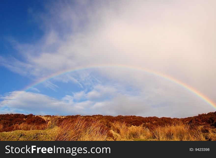 Rainbow over the heather hill II