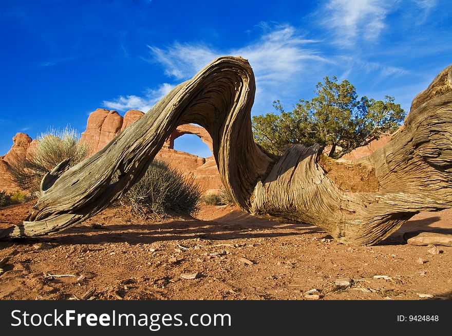 Skyline Arch, framed by the arch from a fallen branch, Arches National Park, UT