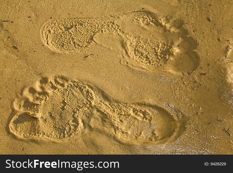 Opposite  footprints on yellow  sand  on the sea beach. Opposite  footprints on yellow  sand  on the sea beach