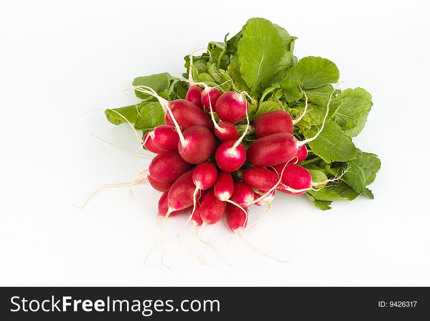 Fresh delicious radish bunch on the white background. Fresh delicious radish bunch on the white background