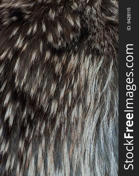 Animal fur texture close-up background