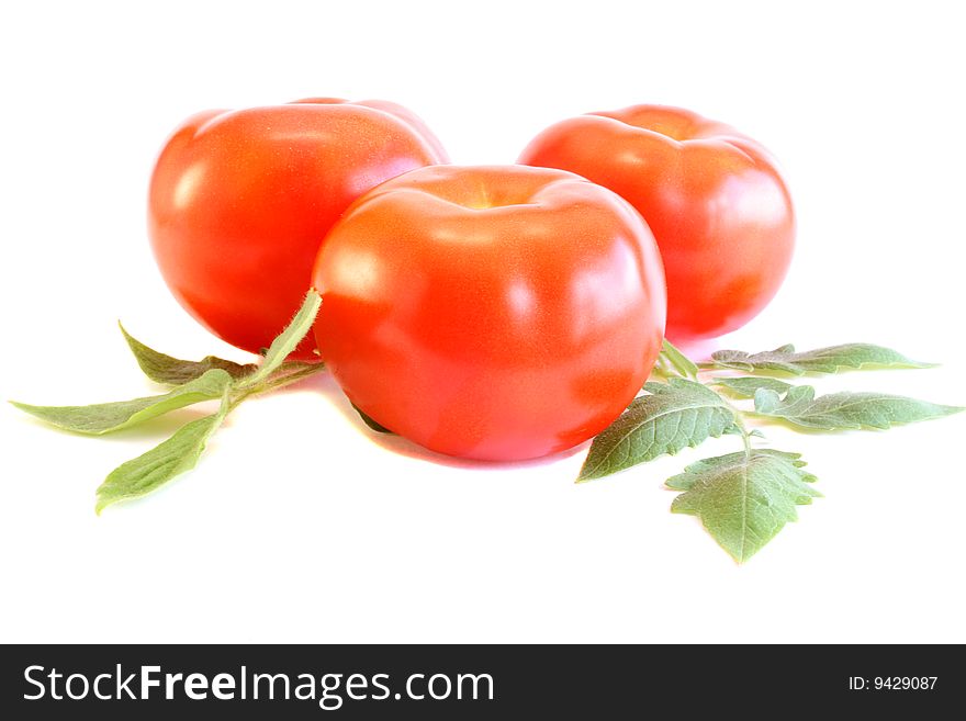 Three red tomatoes, with leaves on a white background.