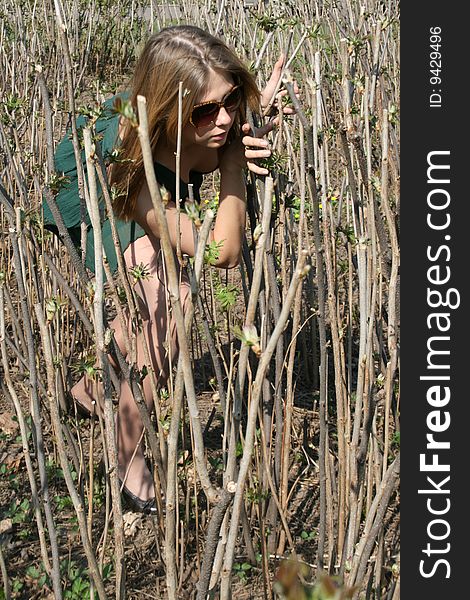 Girl walking among bushes in a garden. Girl walking among bushes in a garden