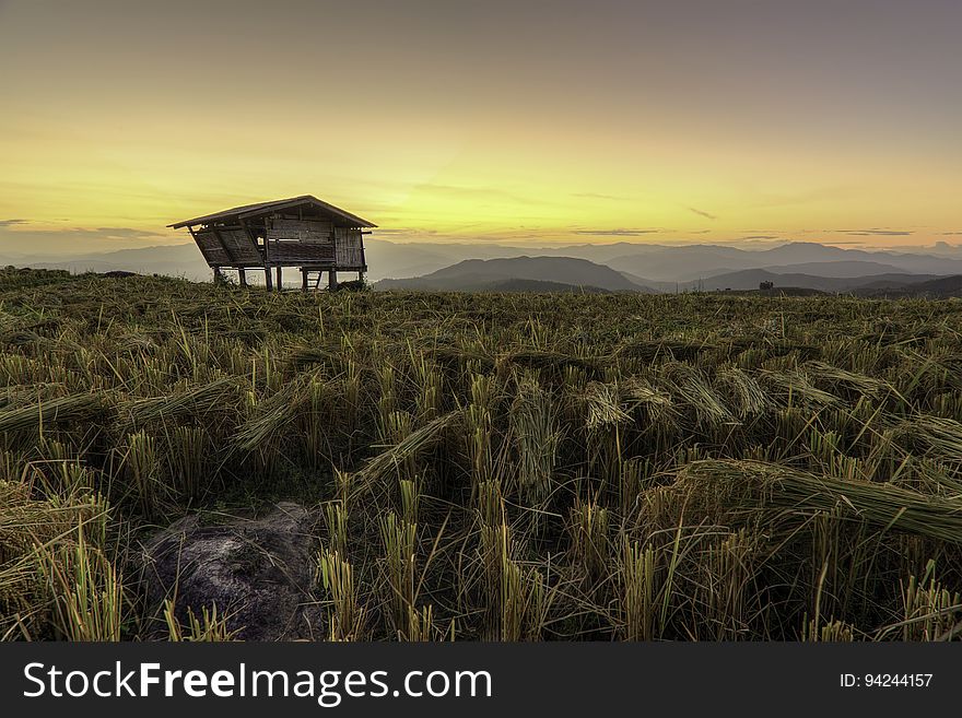 Rustic wooden house on stilts in agricultural field at sunset. Rustic wooden house on stilts in agricultural field at sunset.