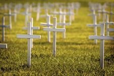 Rows Of Crosses Royalty Free Stock Photos Rows Of Crosses Royalty Free Stock Photos