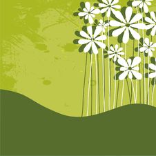 Fun Grunge Flowers Stock Image Fun Grunge Flowers Stock Image