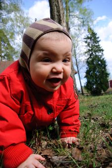 Little Boy Playing In Leaves Stock Photos Little Boy Playing In Leaves Stock Photos