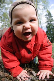 Little Boy Playing In Leaves Royalty Free Stock Photos Little Boy Playing In Leaves Royalty Free Stock Photos