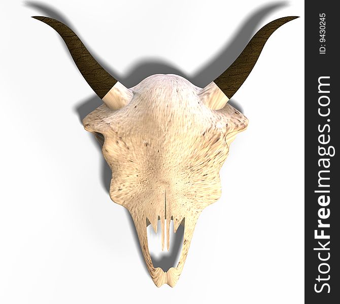 Rendering of a skull of a dead animal. With Clipping Path over white