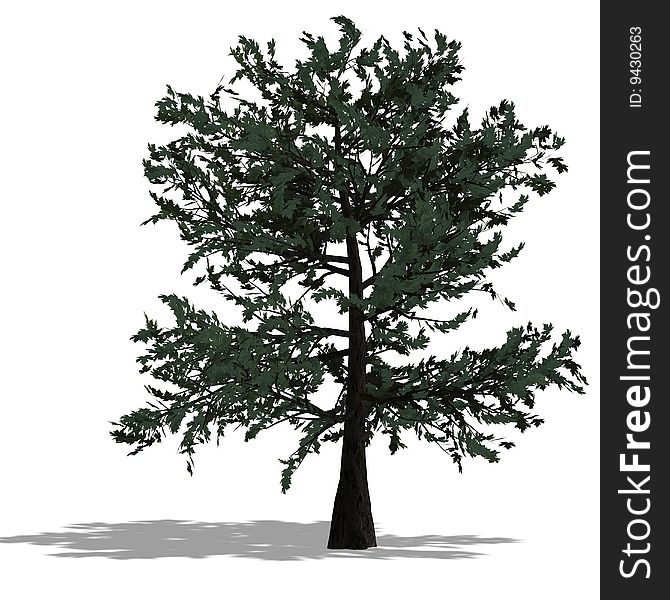 3D Render Of A Needle Beam Tree