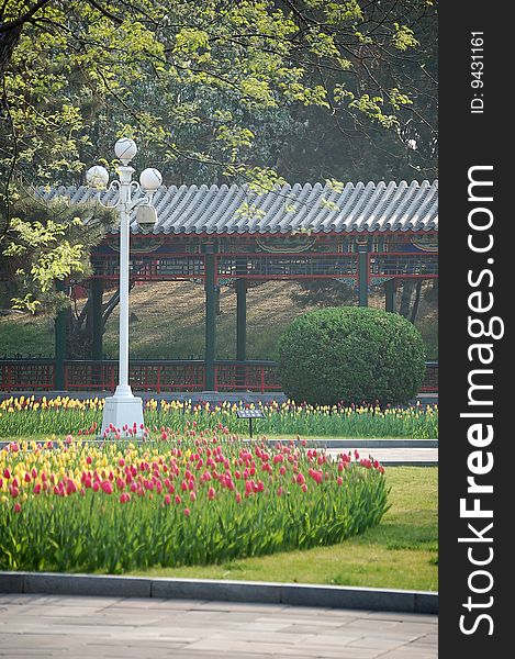 A corner of a park with beautiful corridor, tulips, meadow, trees and lamp. shot at Zhongshan park, Beijing.