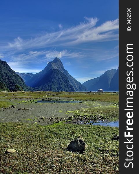 Lowtide in Milford Sound, New Zealand